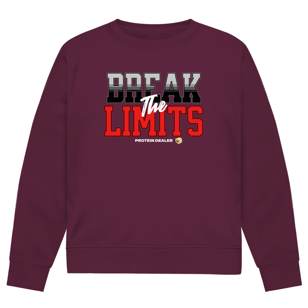 Break the Limits - Herren Premium Bio Sweatshirt