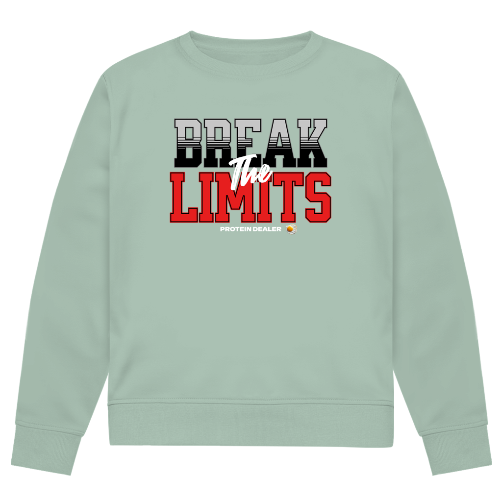 Break the Limits - Herren Premium Bio Sweatshirt