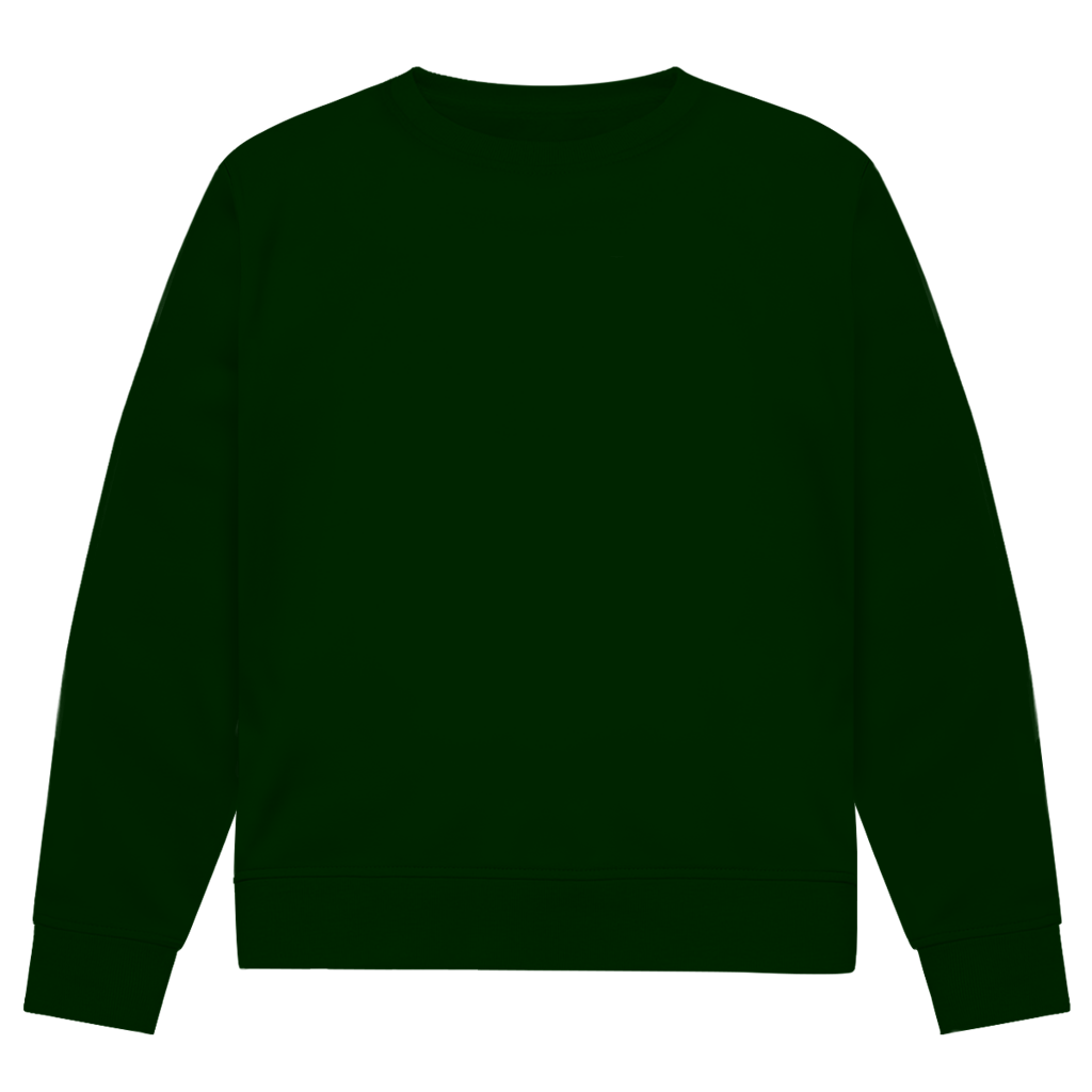 Lost in Orbit - Herren Premium Bio Sweatshirt